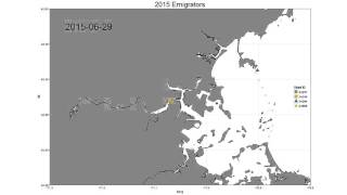 America Shad Migration Map
