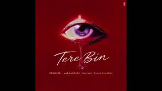 Tere Bin - Stunner x Varkanth34 x Sam 4AM x Rahul Bhargav (Official Audio)