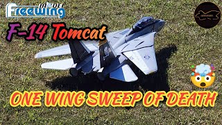 No Matter What Fly the Plane FW F14 Tomcat Wing Sweep Failure #rcplane #freewing #nearmiss