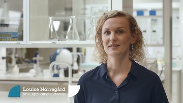 Probiotic Expertise: Fermented foods vs probiotics - Probi®