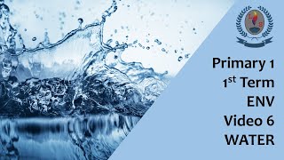 Primary 1 - 1st Term - ENV - Video 6 - WATER