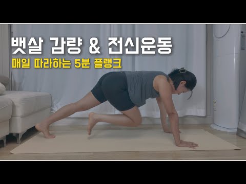 가장 심플하고 강력한 전신/뱃살 다이어트 5분 플랭크 운동!🔥