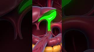 The Real Reason Your Muscles Need Spinach