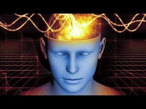 "Why Successful People Swear by This Morning Meditation" Mindfull Echo