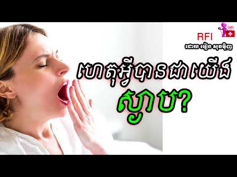 Health and Hygiene KH | RFi ហេតុ​អ្វី​បាន​ជា​យើង​ស្ងាប? Why We Are Yawn? សុខភាពទូទៅ