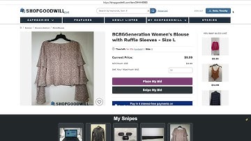 ShopGoodwill Auction Sniper: How To Win Auctions Last Second 🕐 | Step-By-Step Demo