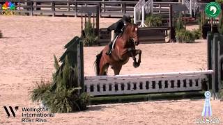 WEF #6 (WCHR week) Sandy & Arthur- Adult Amateur Hunter 2'9, # 2753 & 612 Hunter Classic- 2/15/26