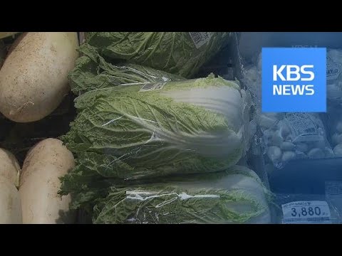 잇단 태풍에 배춧값 2배 ‘껑충’…김장철 수급 비상 / KBS뉴스(News)