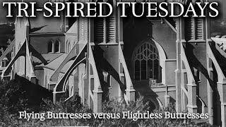 Tri-Spired Tuesdays: Episode 72 Flying versus Flightless Buttresses