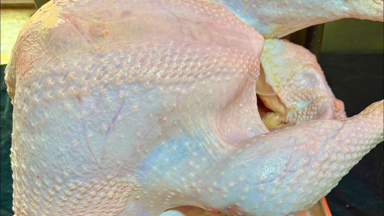 تسويه ديك رومي بتتبيله ملكيه 