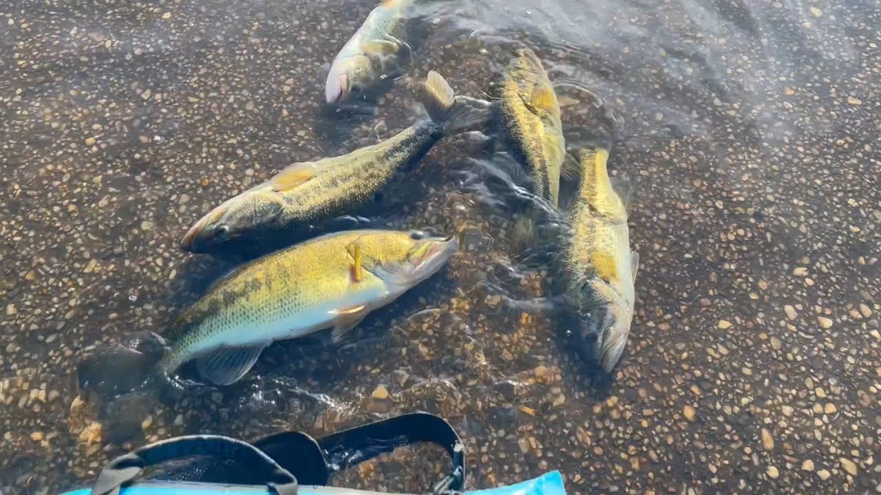 Chickahominy River Club 52 Winter Series 122025