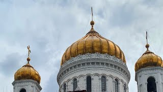 Прогулялись по улице Волхонка,там родилась моя мама,заехали в Светофор и Садовый центр.