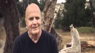Celebrity Dr Wayne Dyer ~  "The Shift "( From Ambition to Meaning ) Wealth
