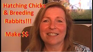 Hatching Chicks and Breeding Rabbits: How to Make Money Homesteading by Briar Patch Creamery 134 views 5 years ago 8 minutes, 35 seconds