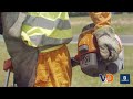 Desbrozadora Husqvarna HU541RST