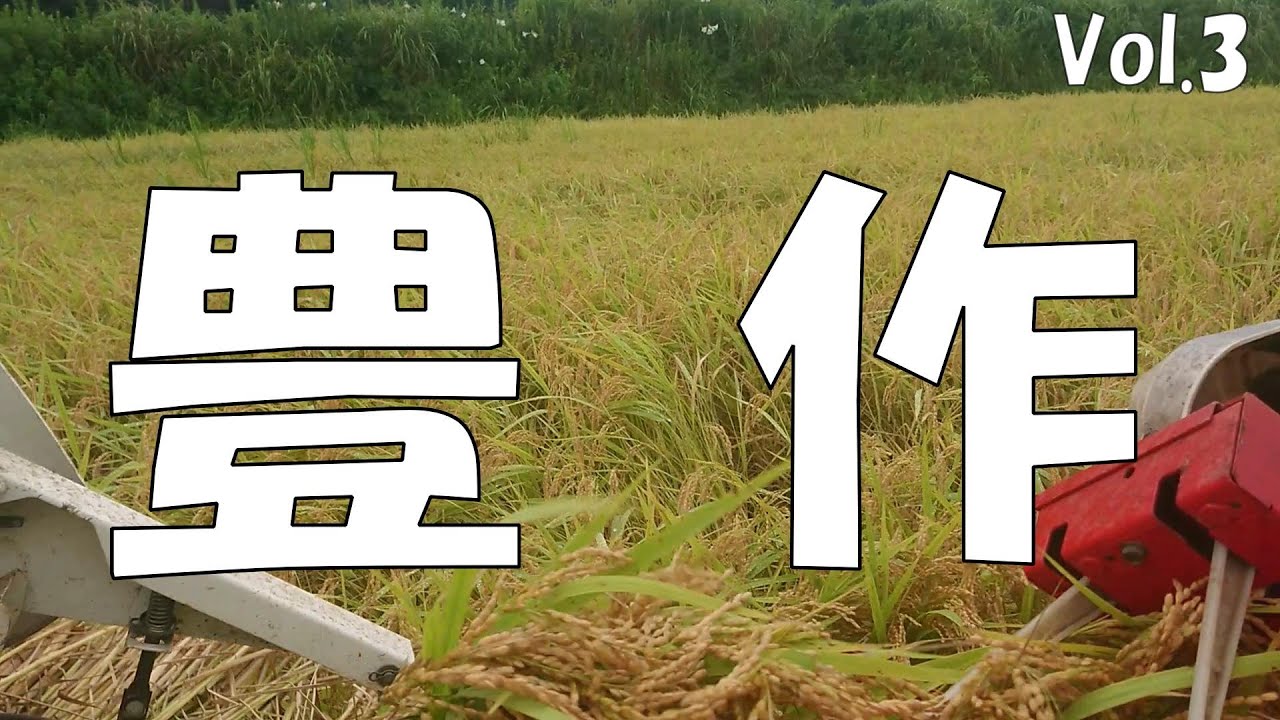 昼飲み！収穫したての新米で飲むビールは最高に美味しかった！！