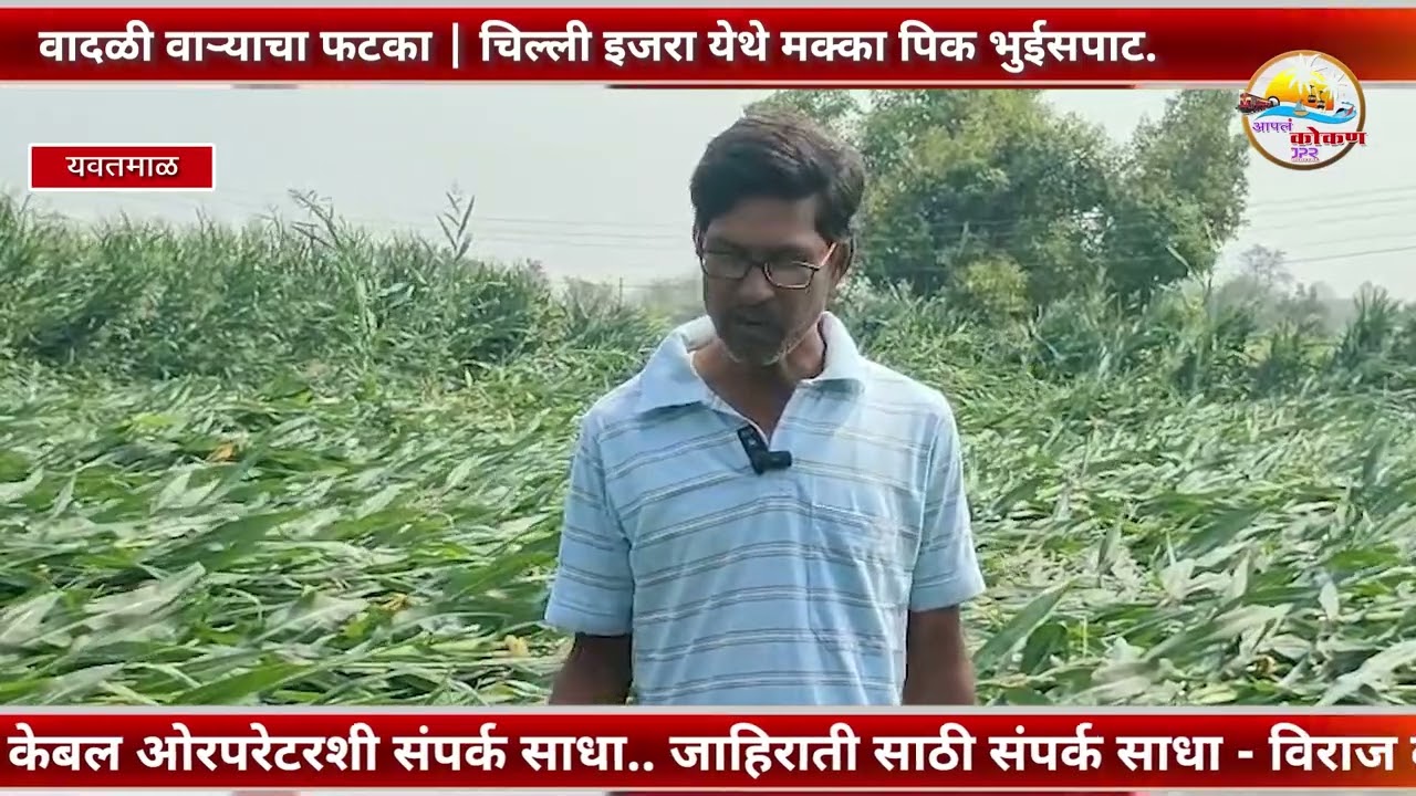YAVATMAL | महागाव तालुक्यात वादळी वाऱ्याचा फटका   चिल्ली इजरा येथे मक्का पिक भुईसपाट.