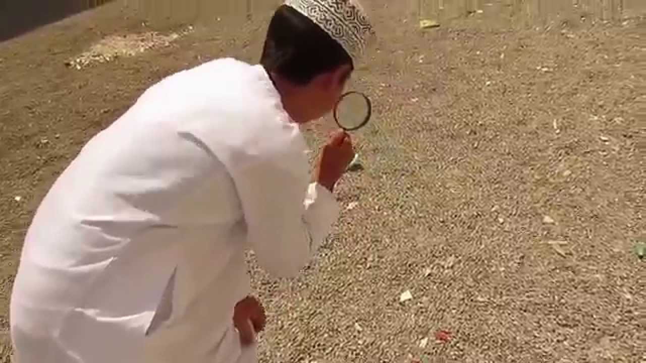 فيلم السرقة | مدرسة الشيخ ناصر بن راشد الخروصي