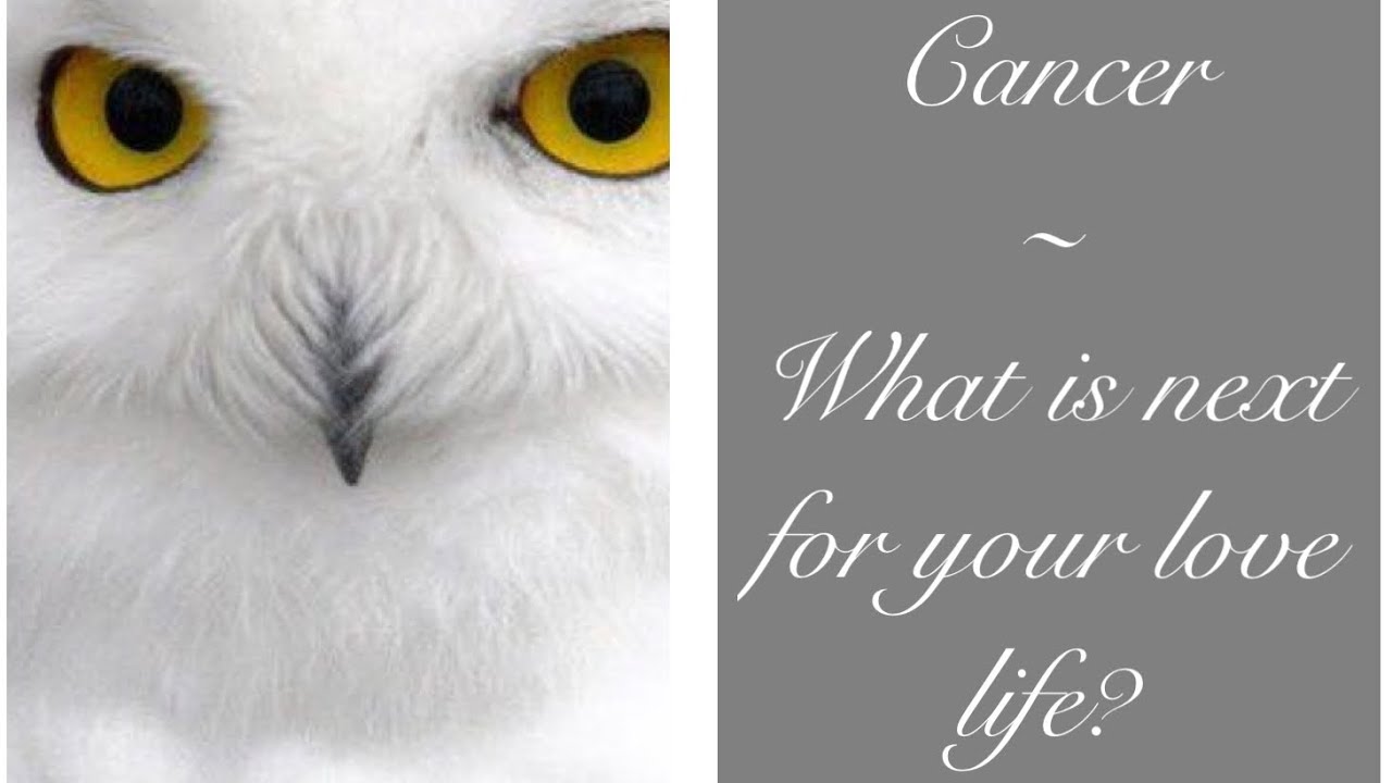 Cancer - Love... 😜 - April 11th ~ 25th - 😳 Wow...Your intuition wasn't wrong! They truly love you!