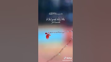 سورة النور، الاية 35 راحة نفسية القرآن الكريم