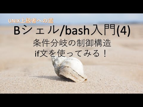 【Bシェル/bash入門】(4) 条件分岐の制御構造〜if文を使ってみる!〜