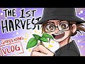 Garden Update 2 - MY FIRST HARVEST! (vlog)