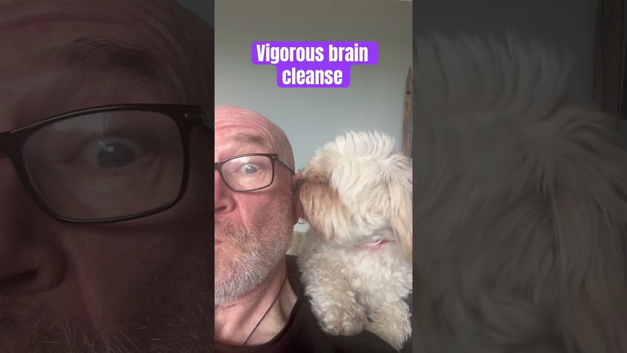 Cavapoo Brain Cleanse 