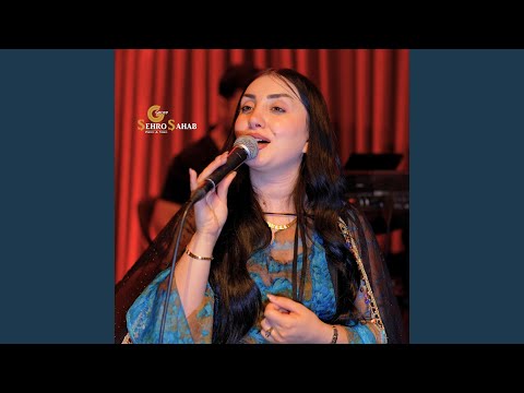 Hînderîn Roj Dilan 2025 هندرين روژ هولير 