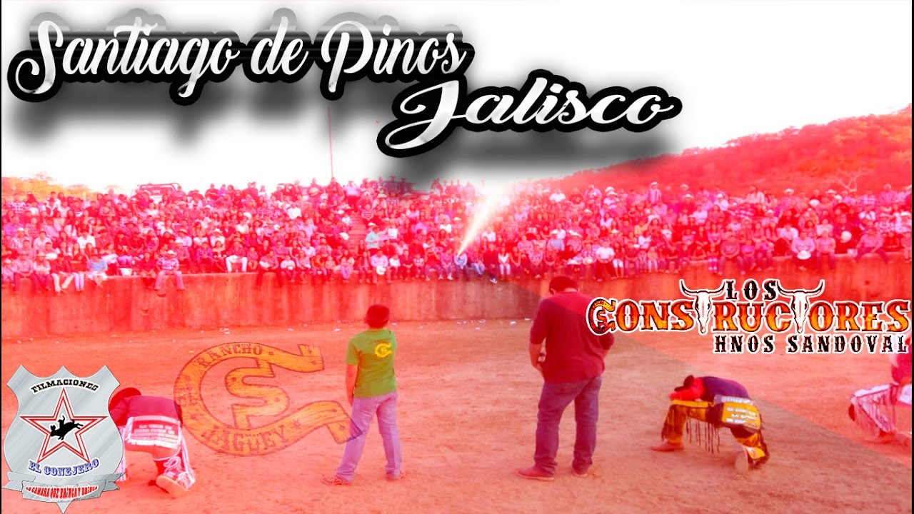 tamaño de los pinos