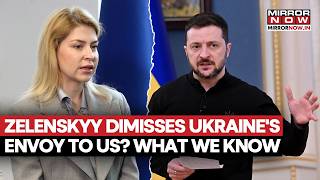Zelenskyy Dimisses Ukraine's Ambassador To US, Olha Stefanishyna After Fedorov? What We Know