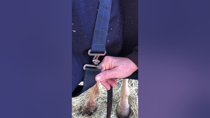 Horse Blanketing SmartTip: How to Properly Attach Leg Straps 