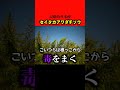 【毒を撒く】日本中に広がる侵略的外来植物セイタカアワダチソウ #shorts