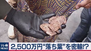 売り先は「日本」「アメリカ」独特の形が密売組織に“人気”摘発の現場