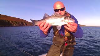 Soft Plastics - sea bass last catch of 2017 screenshot 4