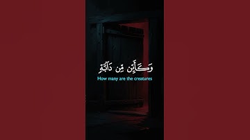 الَّذِينَ صَبَرُوا وَعَلَىٰ رَبِّهِمْ يَتَوَكَّلُونَ | سورة العنكبوت #قرآن