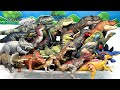 Dinosaur Box - Learn Dinosaur Names And Sounds 공룡 이름 배우기