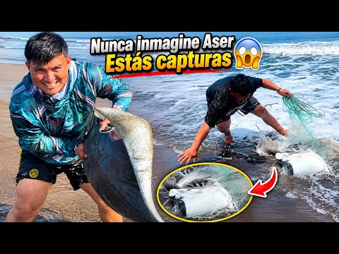 Catching Dangerous Fish With a Cast Net 😱