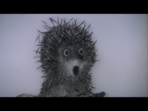 Hedgehog In The Fog 4K Hd Upscale