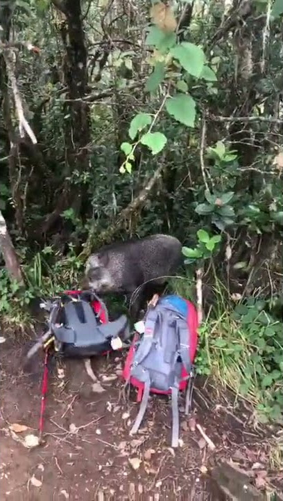 Dibegal Penunggu Gunung Cikuray, Parah!!!