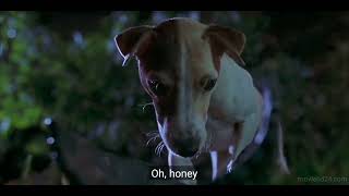 Download Lagu My Dog Son of the Mask Transformation MP3