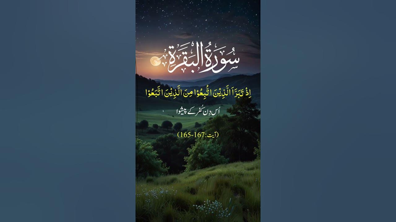 Surah Baqarah Ayat-165-167) Urdu translation #love #quran #quranrecitation #islamicscripture #shots