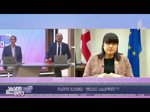 რატომ გაუქმდა „მწვანე პასპორტი“? - თამარ გაბუნიას ჩართვა #ახალდღეში