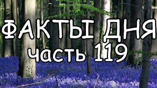 ФАКТЫ ДНЯ. Интересная информация для Вашего ума (Часть 119)