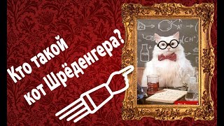Кто такой кот Шрёдингера? Кто такой кот Шрёдингера?