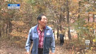 모닝와이드 131104 다시보기 #1(5)