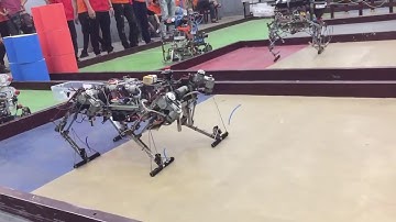 Robot Lạc Hồng 2019 New