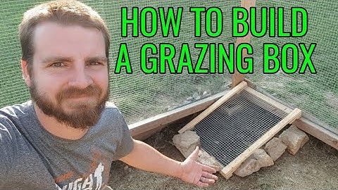 How To Build A Grazing Box For Chickens