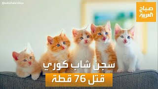 صباح العربية | بسبب خدش سياراته.. سجن شاب كوري قتل 76 قطة