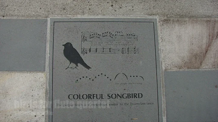 "Birds," for Flute Quartet. Music by Catherine Nev...