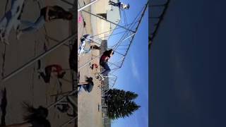 Wild kids jumping off swings